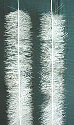 ���w��������