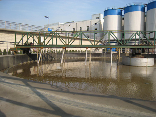 SSG���p��߅����(d��ng)�����C(j��)