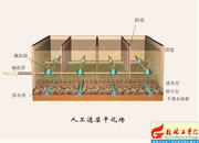 074-�˹��V�Ӹɻ���(ch��ng)